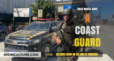 Brazil's Coastal Defense: Exploring the Role of Its Maritime Security Force