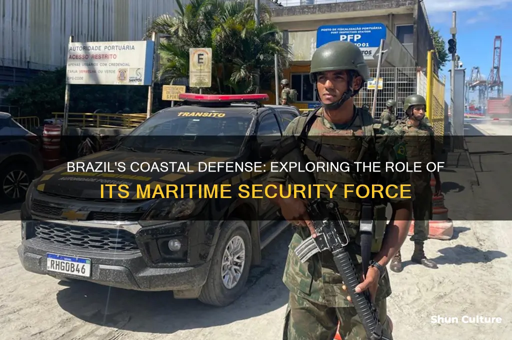 does brazil have a coast guard