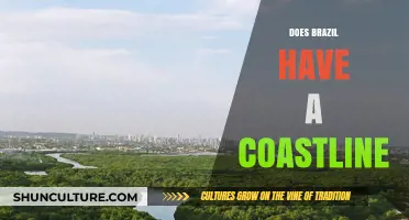 Exploring Brazil's Stunning Coastline: A Geographic Overview and Facts