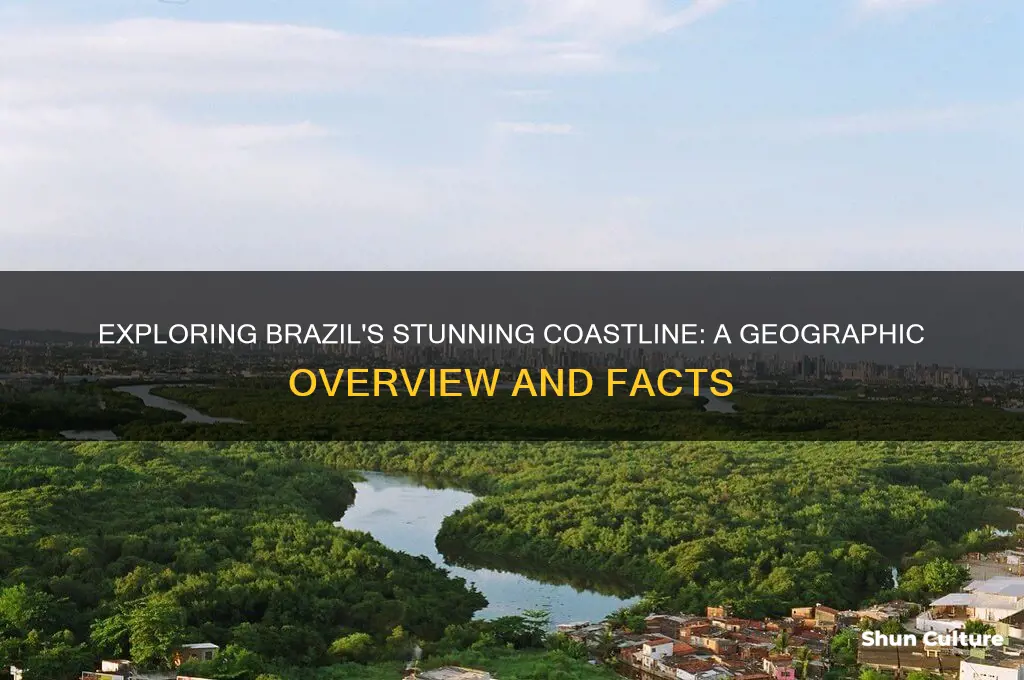 does brazil have a coastline