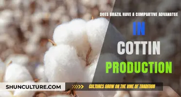Brazil's Cotton Production: A Comparative Advantage Analysis