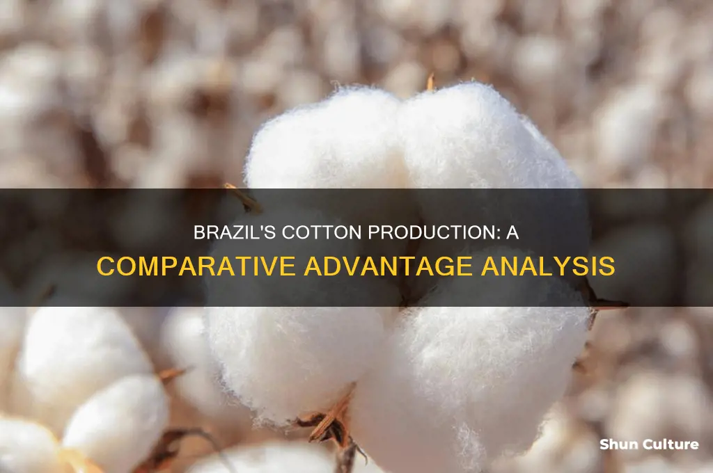 does brazil have a compartive advanatge in cottin production