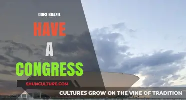 Exploring Brazil's Legislative Branch: Does Brazil Have a Congress?