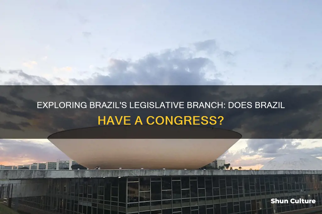 does brazil have a congress