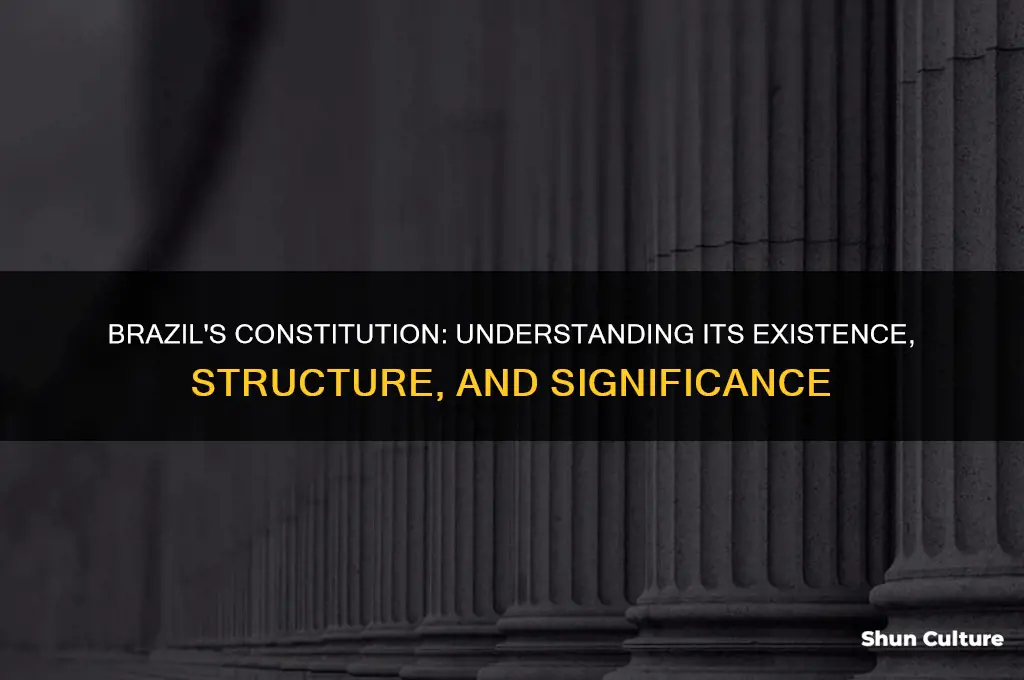 does brazil have a constitution