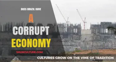Brazil's Economy: Corruption Challenges and Transparency Efforts Explored