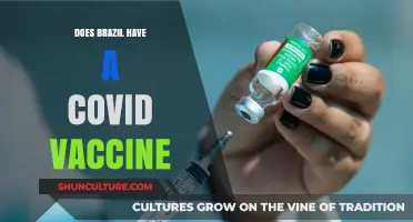 Brazil's COVID-19 Vaccination Efforts: Availability, Distribution, and Progress