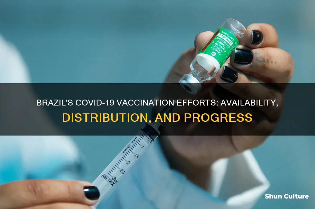 does brazil have a covid vaccine