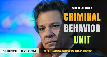Exploring Brazil's Criminal Behavior Unit: Fact or Fiction?