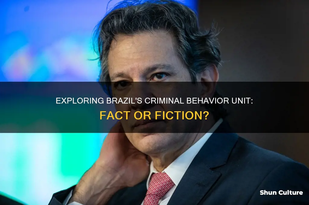 does brazil have a criminal behavior unit
