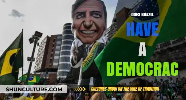 Is Brazil Truly Democratic? Exploring Its Political System and Challenges