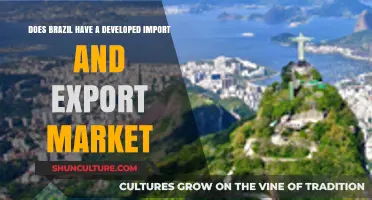 Brazil's Trade Dynamics: Assessing Its Developed Import and Export Market