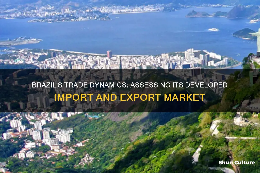 does brazil have a developed import and export market