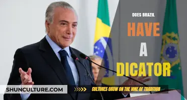 Is Brazil Under Dictatorship? Exploring Its Current Political System