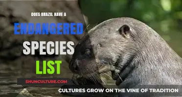 Brazil's Endangered Species: Exploring the Official Conservation Priority List
