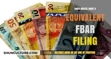 Brazil’s FBAR Equivalent: Understanding Foreign Bank Account Reporting Requirements