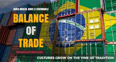 Brazil's Trade Balance: Favorable or Not? A Comprehensive Analysis
