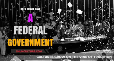 Brazil's Federal Government: Structure, Powers, and Functionality Explained