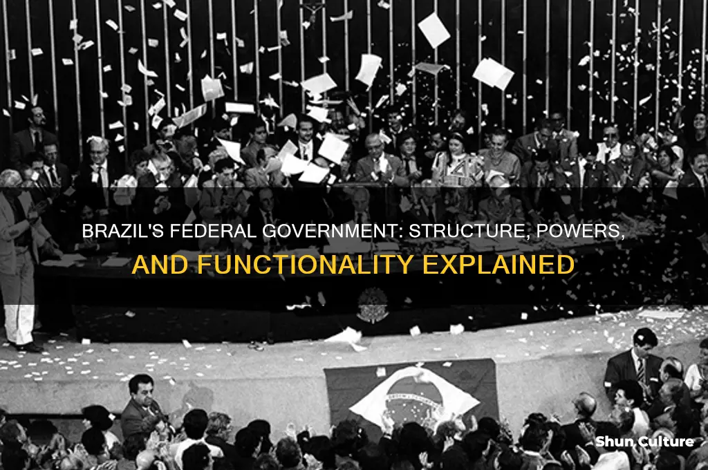 does brazil have a federal government