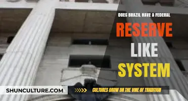 Does Brazil Have a Federal Reserve-Like System? Exploring Its Central Bank