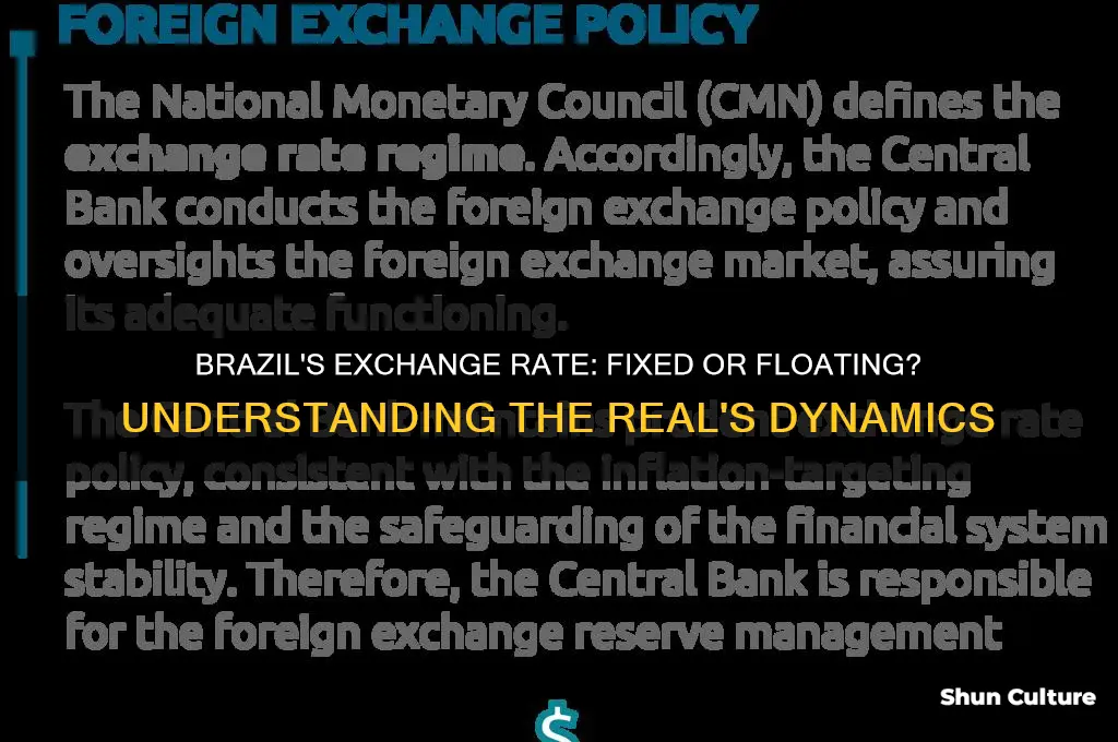 does brazil have a fixed or floating exchange rate