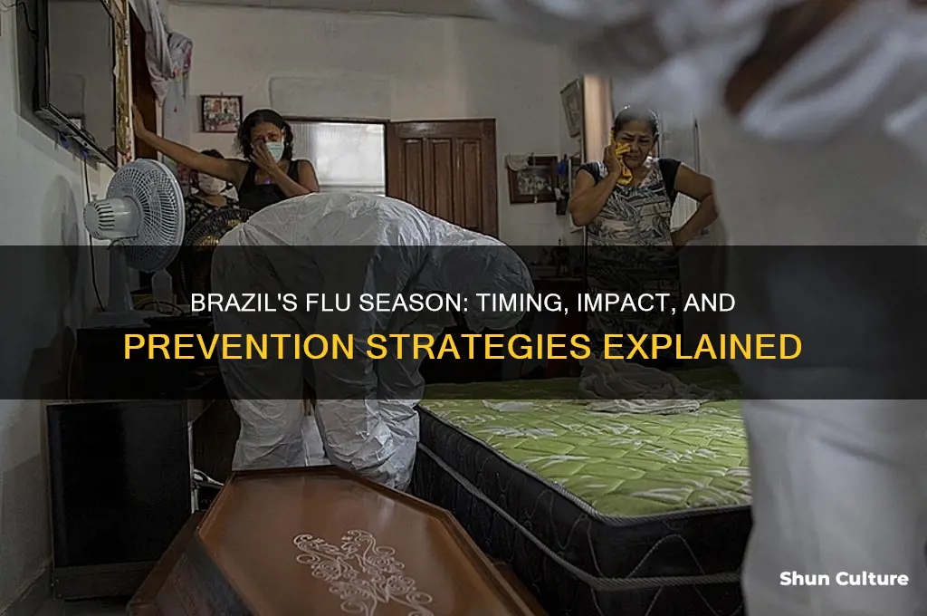 does brazil have a flu season
