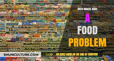 Brazil's Food Crisis: Challenges, Inequality, and Hunger in a Rich Nation