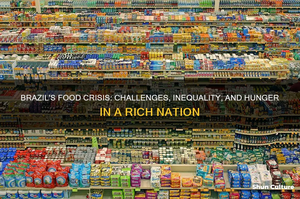 does brazil have a food problem