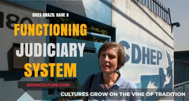 Brazil's Judiciary: Functioning System or Struggling Institution?