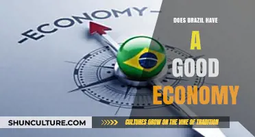 Brazil's Economy: Strengths, Challenges, and Global Standing Explored