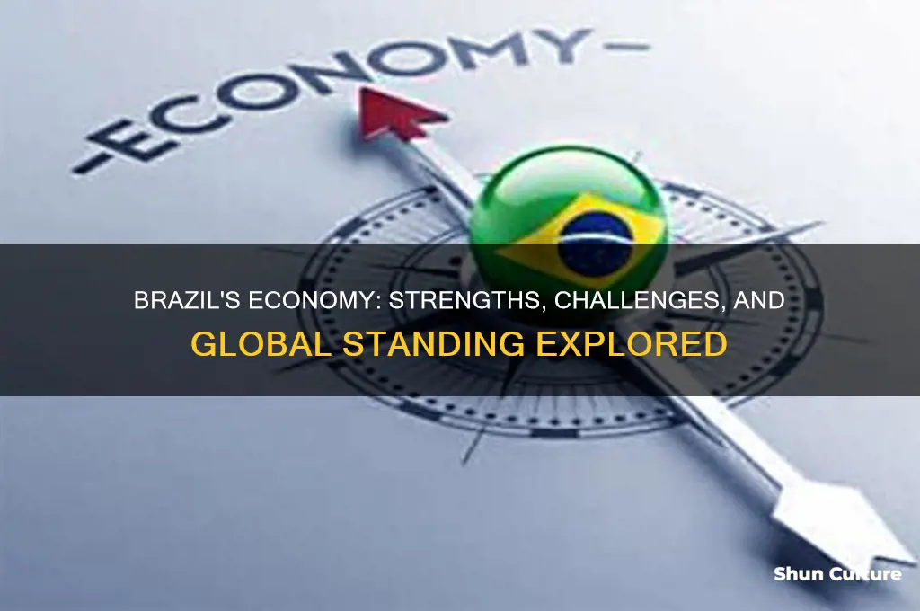 does brazil have a good economy