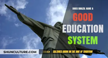 Exploring Brazil's Education System: Strengths, Challenges, and Global Standing