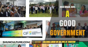Evaluating Brazil's Governance: Strengths, Weaknesses, and Public Perception