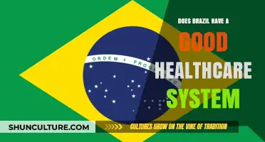 Brazil's Healthcare System: Quality, Challenges, and Global Comparisons