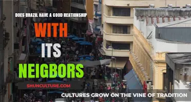 Brazil's Neighborly Ties: A Look at Regional Relationships and Cooperation