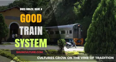 Exploring Brazil's Train Network: Efficiency, Challenges, and Future Prospects