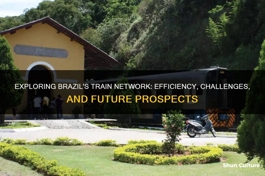 does brazil have a good train system