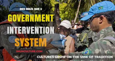 Brazil's Government Intervention: Policies, Impact, and Public Sector Role
