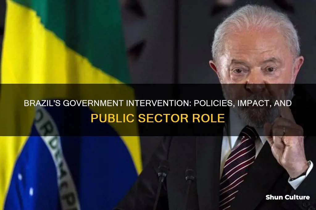 does brazil have a government intervention system