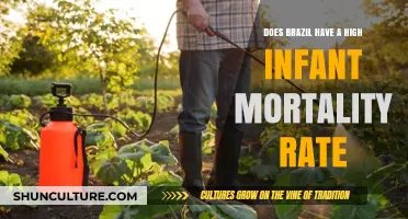 Brazil's Infant Mortality Rate: Understanding the Current Statistics and Trends