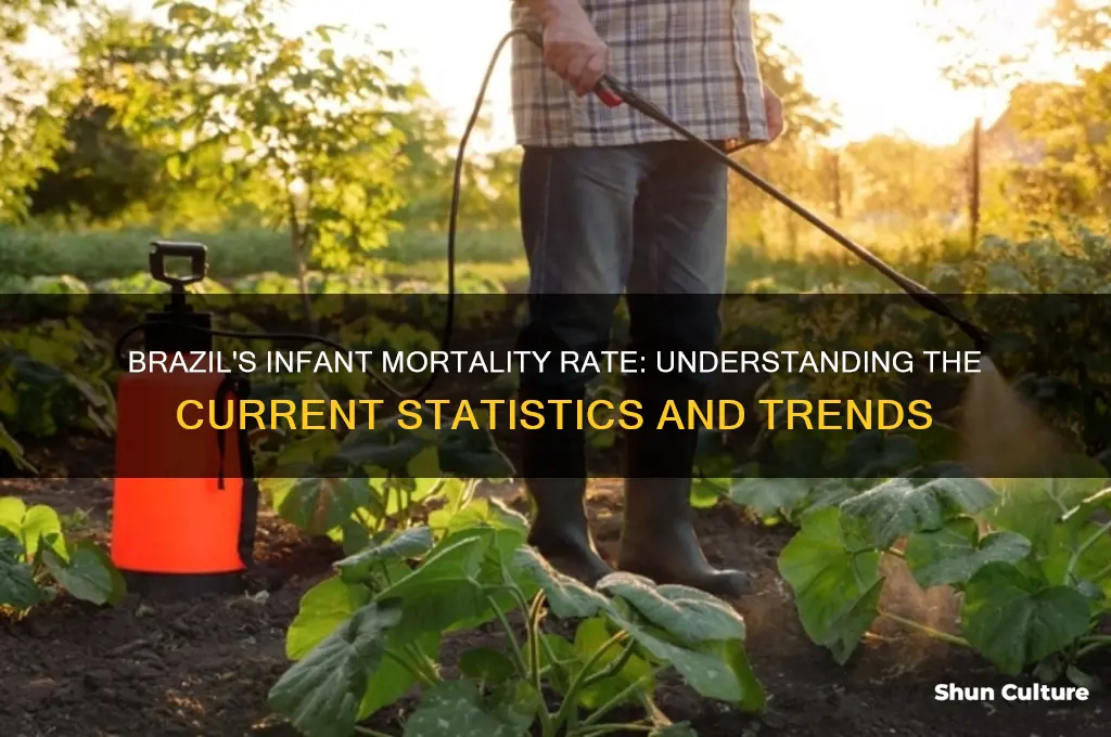 does brazil have a high infant mortality rate