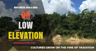 Exploring Brazil's Elevation: High Peaks or Low-Lying Landscapes?