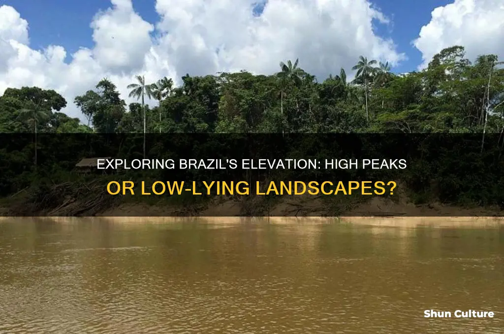 does brazil have a high or low elevation