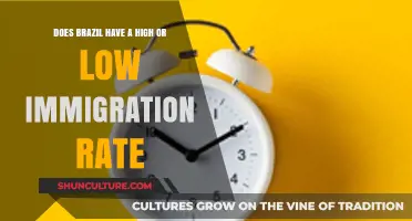 Brazil's Immigration Rate: High, Low, or Somewhere in Between?