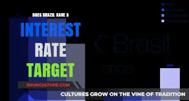 Brazil's Monetary Policy: Exploring the Interest Rate Target Strategy