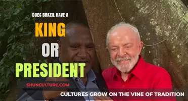 Brazil's Leadership: King or President? Unraveling the Country's Political System