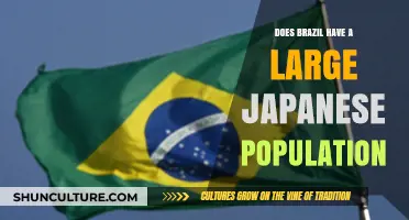 Exploring Brazil's Significant Japanese Community: History and Cultural Impact