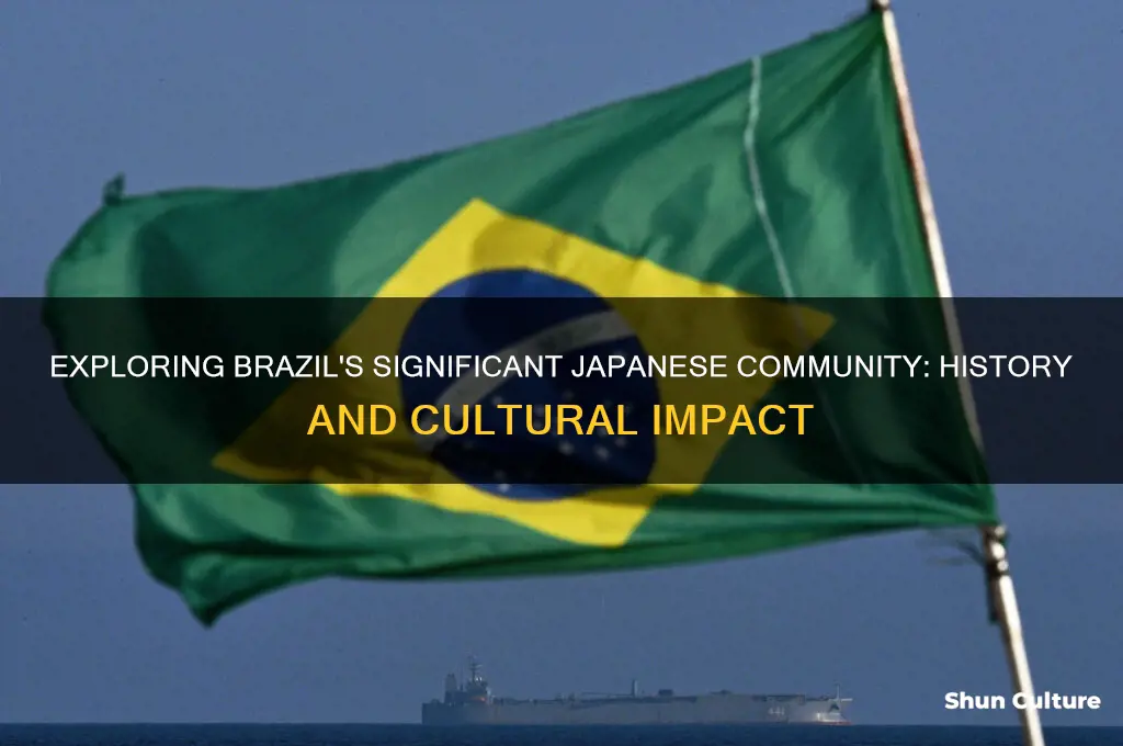 does brazil have a large japanese population