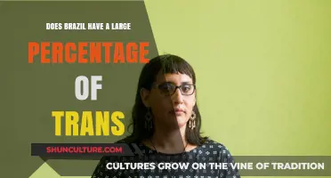 Exploring Brazil's Transgender Population: Size, Visibility, and Societal Impact
