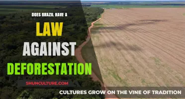 Brazil's Deforestation Laws: Protecting the Amazon Rainforest or Failing?